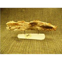 9" fossilized walrus ivory carving of 15 swimming fish: tuna, sharks, salmon, mounted on mammoth ivo