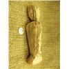 Image 2 : Ancient 9" Eskimo wood doll from St. Lawrence Island - could be 1000 years old (3)