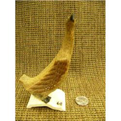 6" whale bone cormorant by Roger Silook Sr.- deceased - whaling Capt. (2)