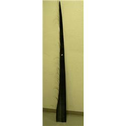 CHOICE on 4 cleaned and polished baleen 86" long (2)