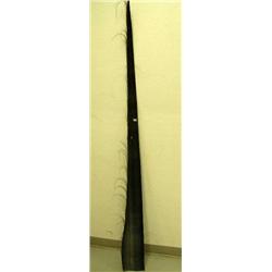 CHOICE on 4 cleaned and polished baleen 86" long (2)