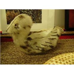 CHOICE on 2: Seal skin ducks 6" long (2)