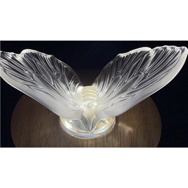 Lalique Crystal Aurore Butterfly 5W