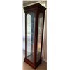 Image 2 : Mahogany China Curio Cabinet With Light 24W x 17D 75T