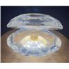 Image 1 : Swarovski Crystal Clam 3W