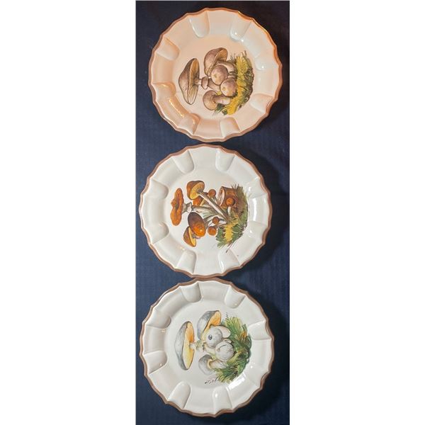 Bassano Set of 3 Mushrooms 10x10