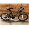 Image 1 : IRONHORSE TRAIL EQUIPPED 18 SPEED BICYCLE