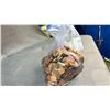 Image 2 : 2 BAGS OF PENNIES