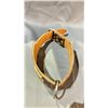 Image 2 : LOUIS VUITTON DOG COLLAR