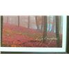 Image 2 : FRAMED ORIGINAL OIL ON CANVAS BY LIZ LANGDON OF FOREST SCENE 27" X 19"