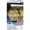 Image 1 : CASE OF 8 AMAZON BASICS STAINLESS STEEL INSULATED WATER BOTTLES WITH SPOUT LIDS