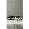 Image 3 : ORTHOCERAS FOSSIL APPROX 11X10" RETAIL $2200