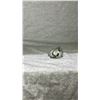 Image 3 : ORTHOCERAS FOSSIL RETAIL $480