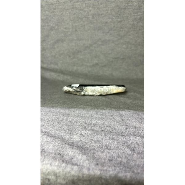 ORTHOCERAS FOSSIL RETAIL $480