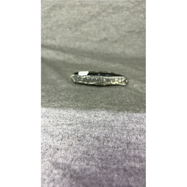 ORTHOCERAS FOSSIL RETAIL $480