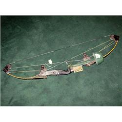 COMPOUND BOW & ARROWS