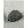 Image 2 : Shunghite Stone MSRP $289.88