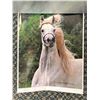 Image 2 : Original Extra Large Horse Painting on Canvas 48" x 68" Done by W .Kwiatkowski NO SHIPPING