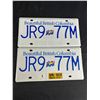 Image 2 : Lot of 8 Vintage BC License Plates