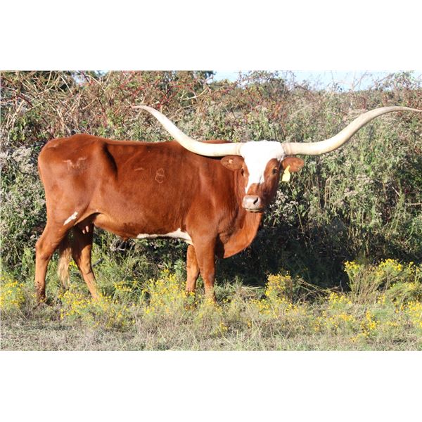 MML SO UNPREDICTABLE