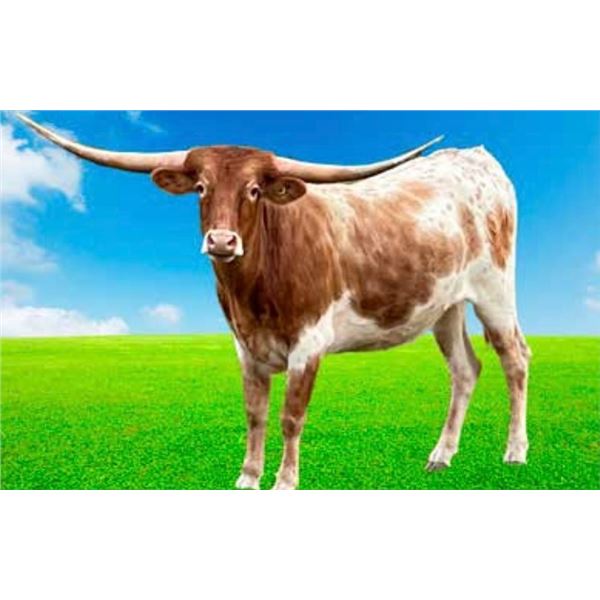 VVF Dixieland Delight