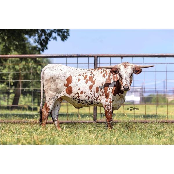 SUB LOT - Callin' Cutie LP