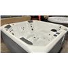 Image 2 : HOT SPRINGS SPAS PACE STORM/ALPINE WHITE, SEATING CAPACITY 5,