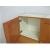 Image 2 : 2 DOOR CABINET