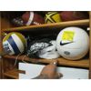 Image 1 : 2 VOLLEYBALLS & VOLLEYBALL NET