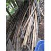 Image 2 : LG. LOT OF ASST. WALKING STICKS