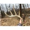 Image 2 : South Central Iowa 3 Day Turkey Hunt and Shed Hunting