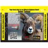 Image 3 : 2025 ALBERTA BIGHORN SHEEP HUNT RAFFLE AND SITKA SHEEP HUNTING PACKAGE
