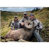 Image 6 : 2025 ALBERTA BIGHORN SHEEP HUNT RAFFLE AND SITKA SHEEP HUNTING PACKAGE