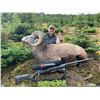 Image 9 : 2025 ALBERTA BIGHORN SHEEP HUNT RAFFLE AND SITKA SHEEP HUNTING PACKAGE