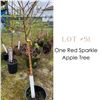 Image 1 : Lot:  51