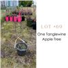Image 1 : Lot:  69