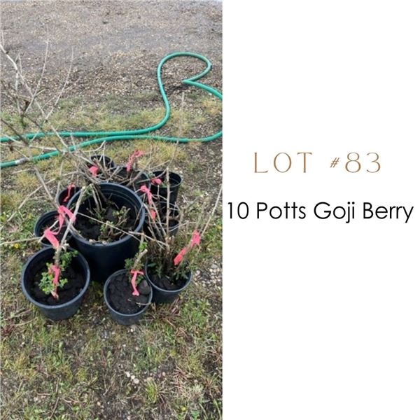 Lot:  83