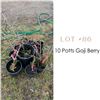 Image 1 : Lot:  86