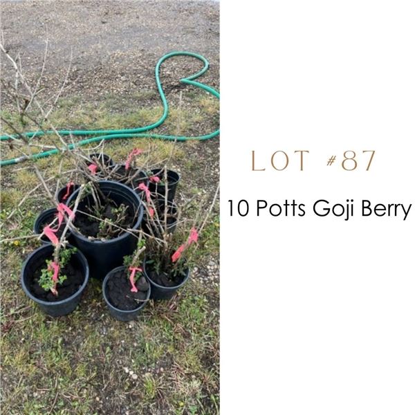 Lot:  87