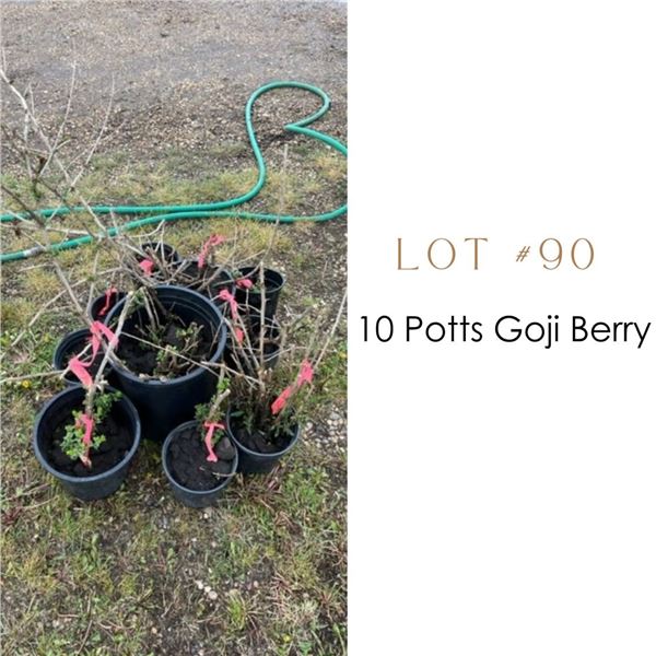 Lot:  90