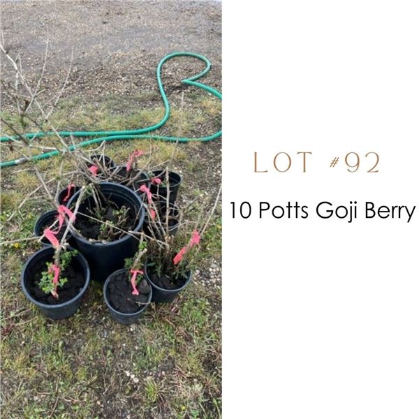 Lot:  92