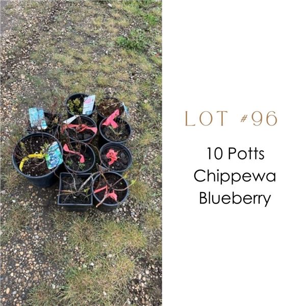 Lot:  96