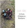 Image 1 : Lot:  101