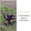 Image 1 : Lot:  109