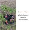 Image 1 : Lot:  112