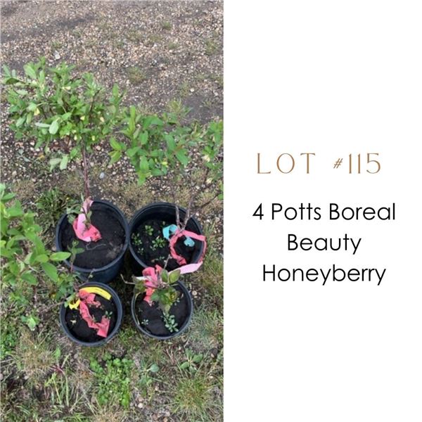 Lot:  115