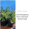 Image 1 : Lot:  130