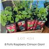 Image 1 : Lot:  134