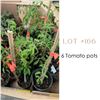 Image 1 : Lot:  166