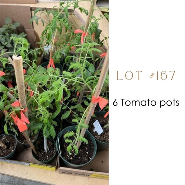 Lot:  167